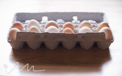 farmeggs-web-5