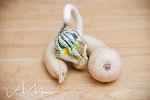 sevensquashes-web-13