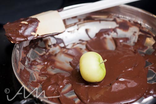 chocostachiodippedladyapples-web-8