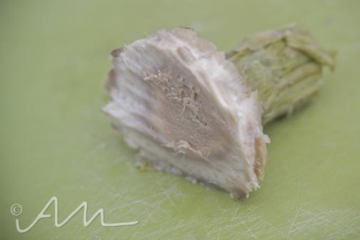 artichokes-11