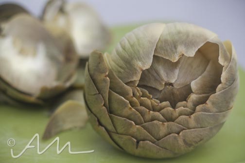 artichokes-8