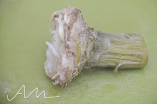 artichokes-9