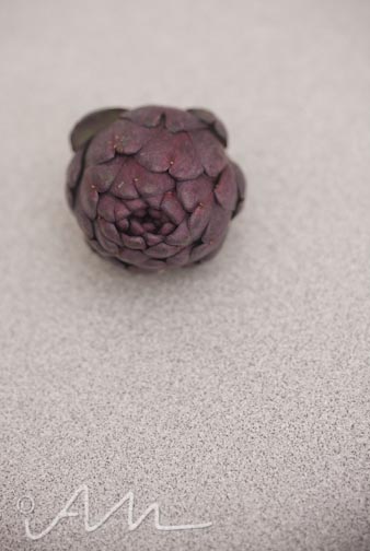 purpleartichokes-4