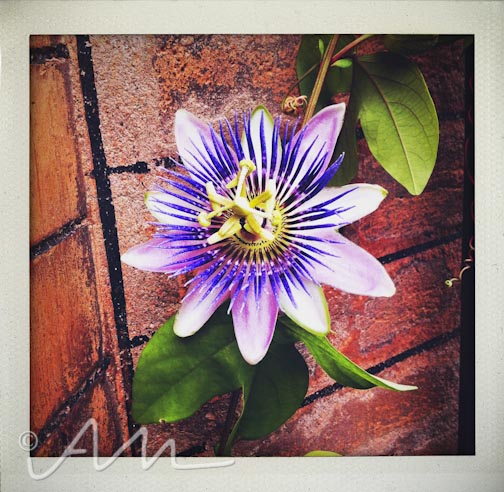 neighbourhoodfotos-7