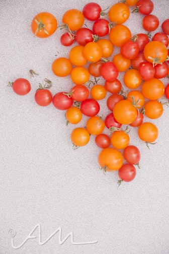 tomatogoatcheesetoast-2