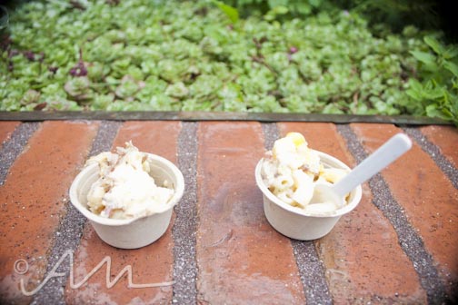 aspenmacncheesefestival-14