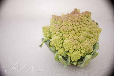 radicalromanesco-19