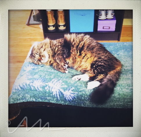 fotofridaydecebmer2013-1