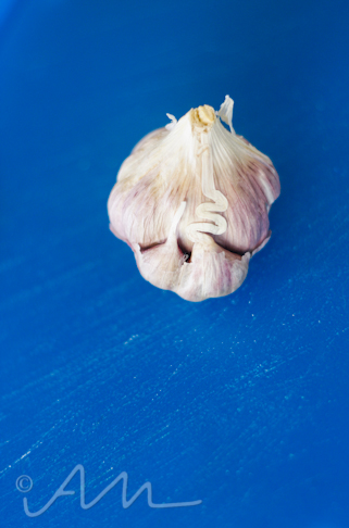 squigglygarlic-1