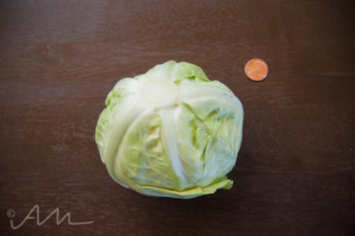 smallestveggiesever-5