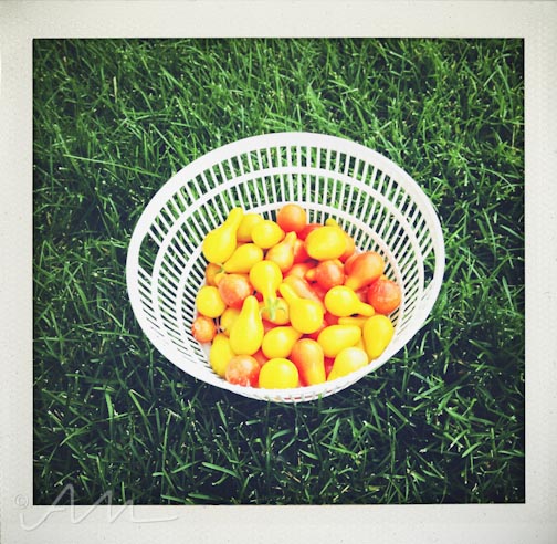 weekinfotos091914-16