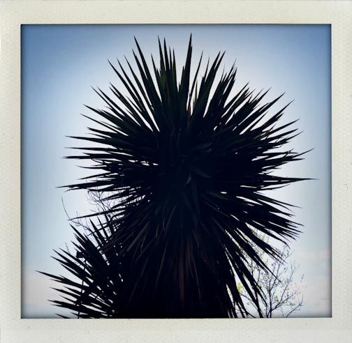 latelymay2015-web-30