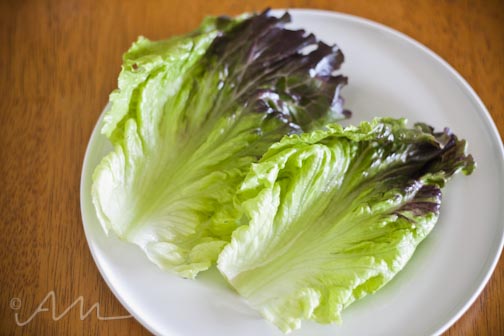 burgerlettucewraps-2