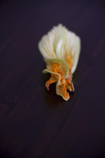 squashblossoms-nw-15