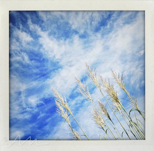 fallingintoseptember-9