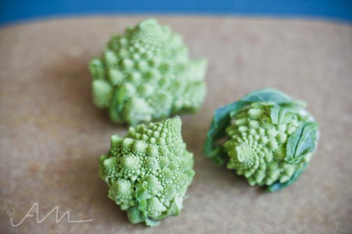 babyromanesco-1