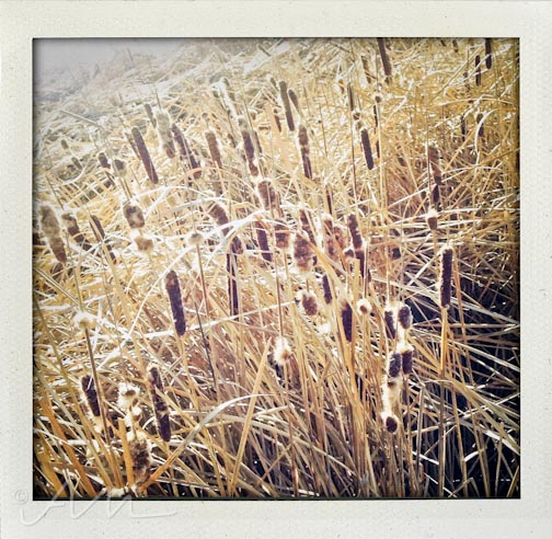 walkaroundthelake-13