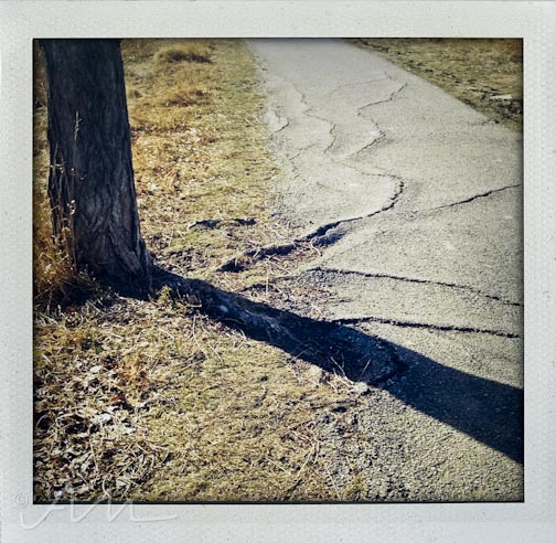 walkaroundthelake-18