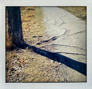 walkaroundthelake-18