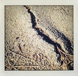 walkaroundthelake-19