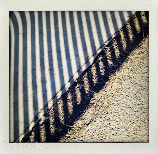 walkaroundthelake-21