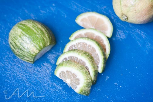 pinklimes-web-4
